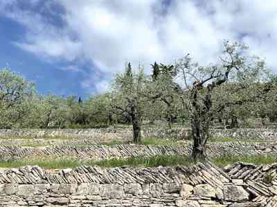 Valpolicella. Le marogne “paesaggio rurale storico”