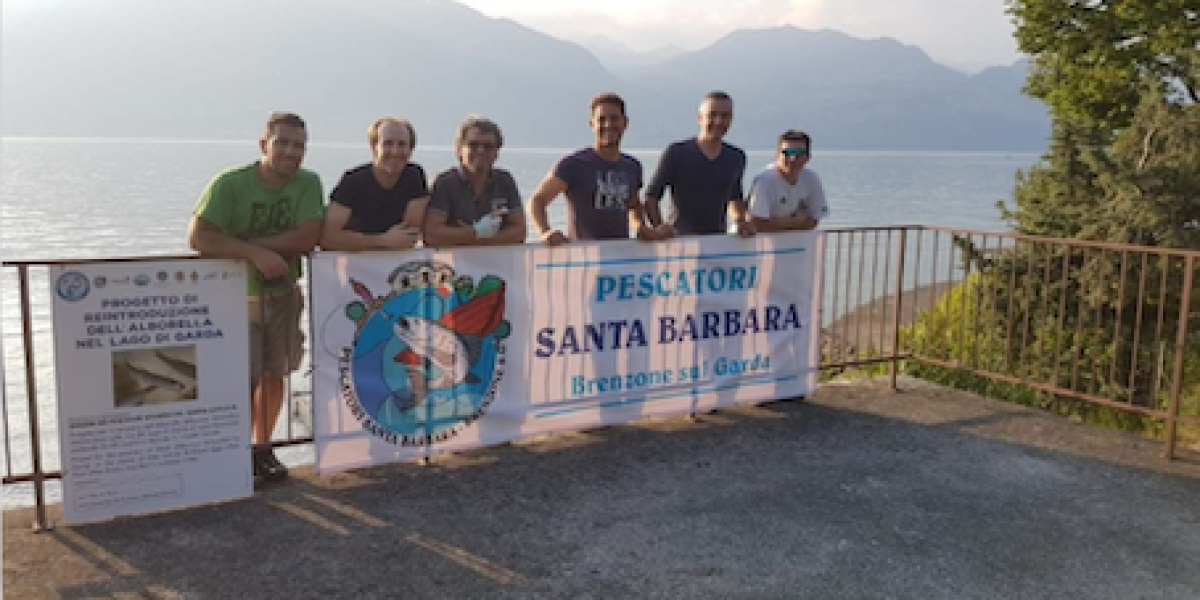 I salvatori dell’alborella che la rivogliono nel Garda