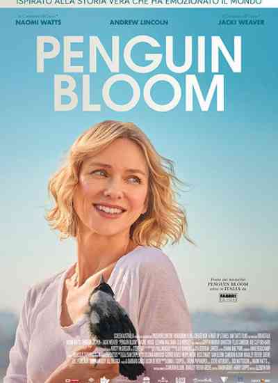 La rinascita di una famiglia e di una gazza che spicca il volo