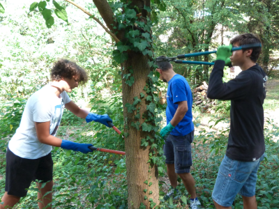 I teenagers dei Focolari assieme per un mondo più sostenibile