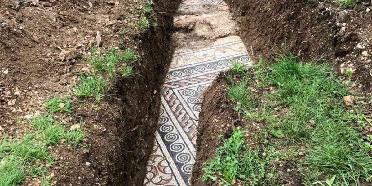 Trovati a Negrar resti d’uva di 6.000 anni: qui il vino più antico d’Italia?