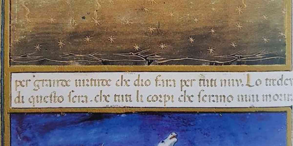 Essere germoglio di attesa e di speranza
