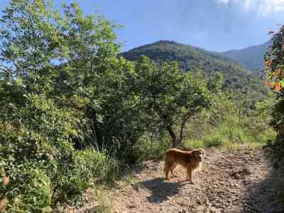 Immersi nel Bosco dei Poeti tra natura, arte, spiritualità