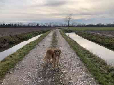 A Casaleone sfiorando paludi, mulini e camminando lungo l’ex ferrovia