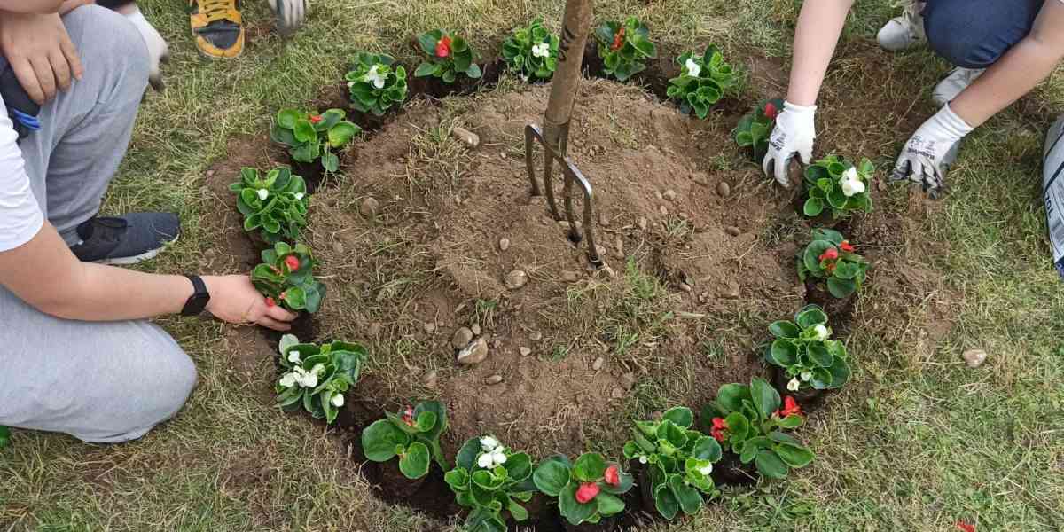 Borgo Nuovo, il giardinaggio è momento di socialità