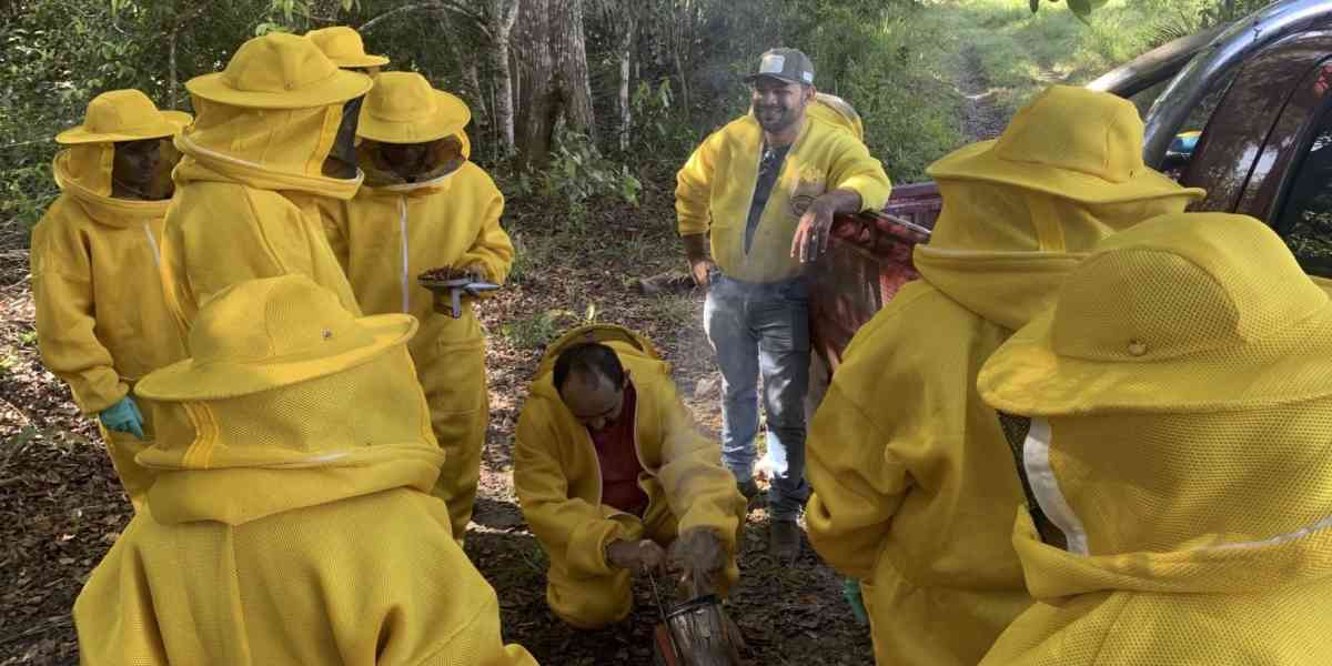 L’apicoltura per custodire la biodiversità