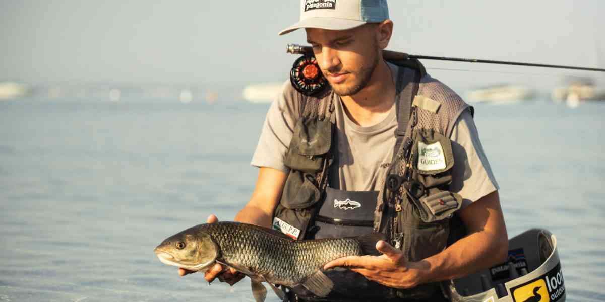 Aiuto, il Garda quasi senza pesci!
