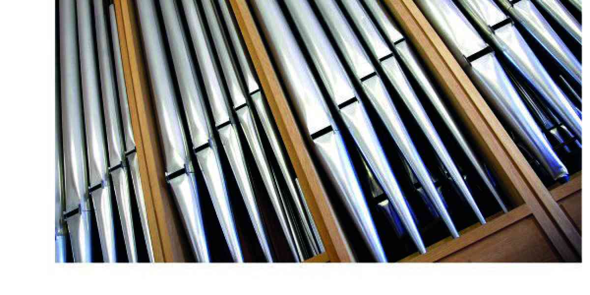 Illustri veronesi compositori di musica organistica