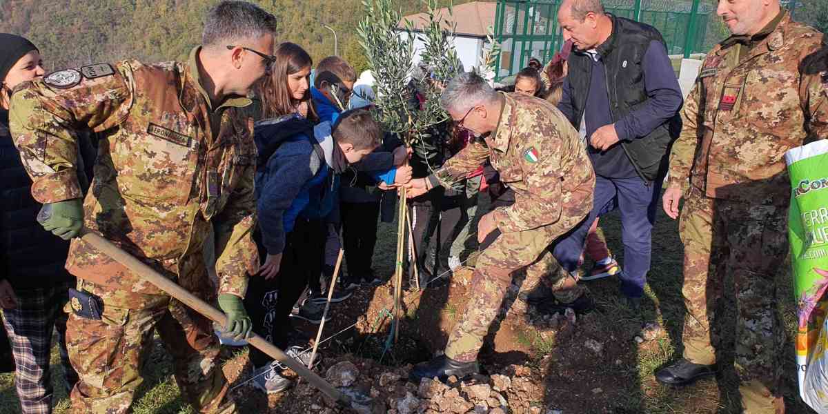 Crescono nuovi alberi nella base Nato di Lughezzano
