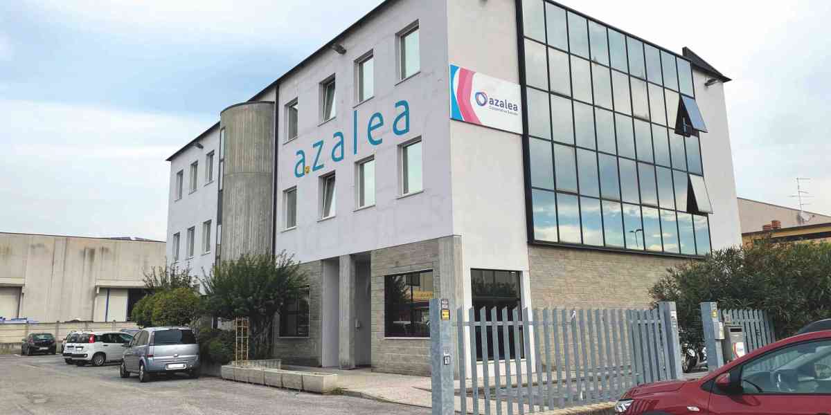 I trent’anni di fioritura di un’Azalea solidale