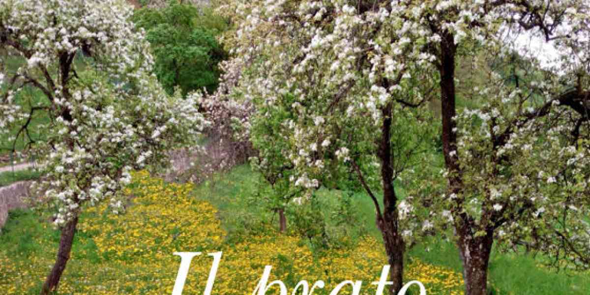 Dal baule dei ricordi poesie e brevi racconti
