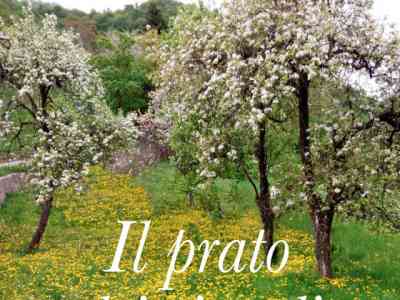 Dal baule dei ricordi poesie e brevi racconti