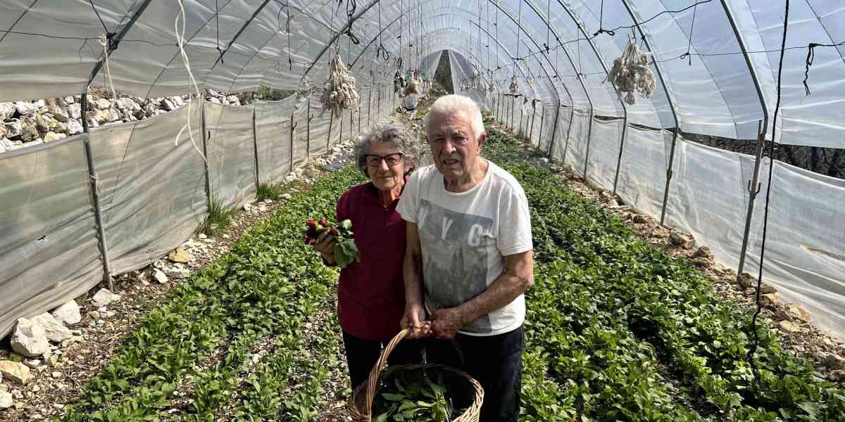 La terra "gentile" di una coppia che regala tutti frutti e conoscenza