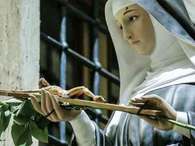 Profuma di normalità la rosa benedetta in nome di santa Rita