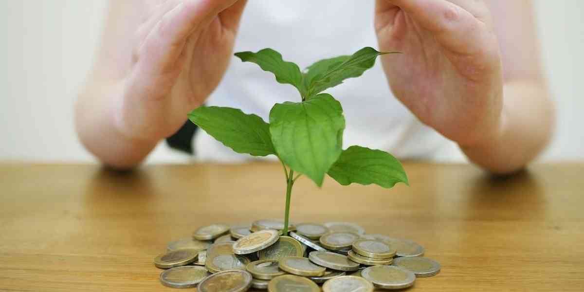 Chi ci aiuta ad investire con giudizio?