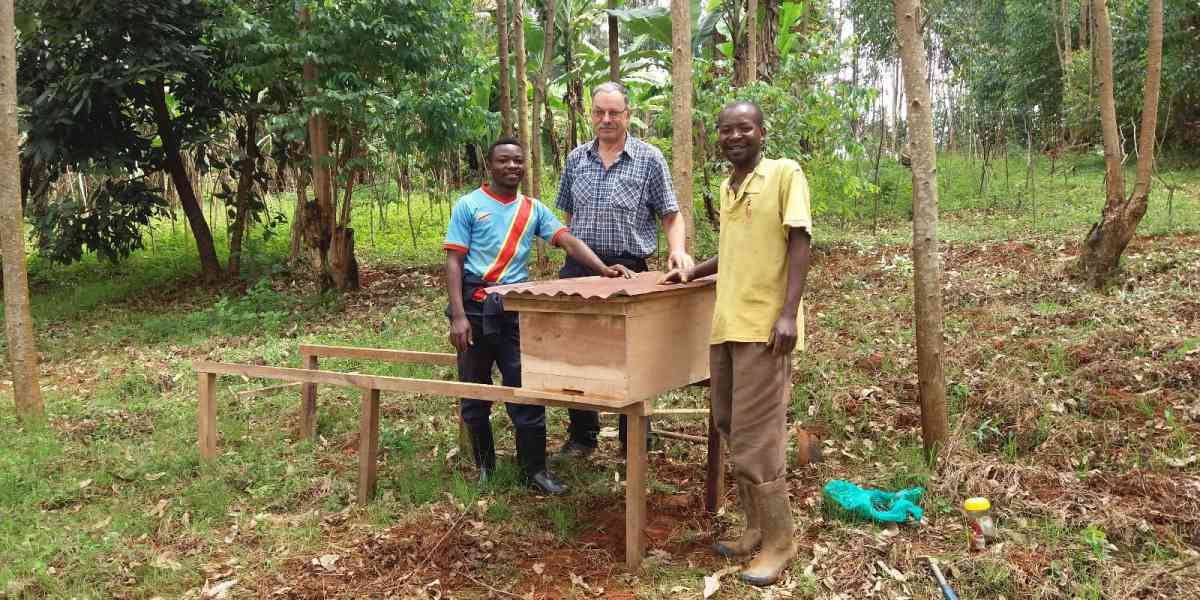 Tante arnie piene di api per aiutare gli africani
