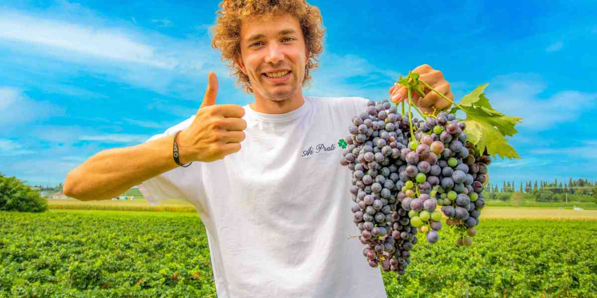 Alessandro, agricoltore da Oscar mette in video la vita contadina