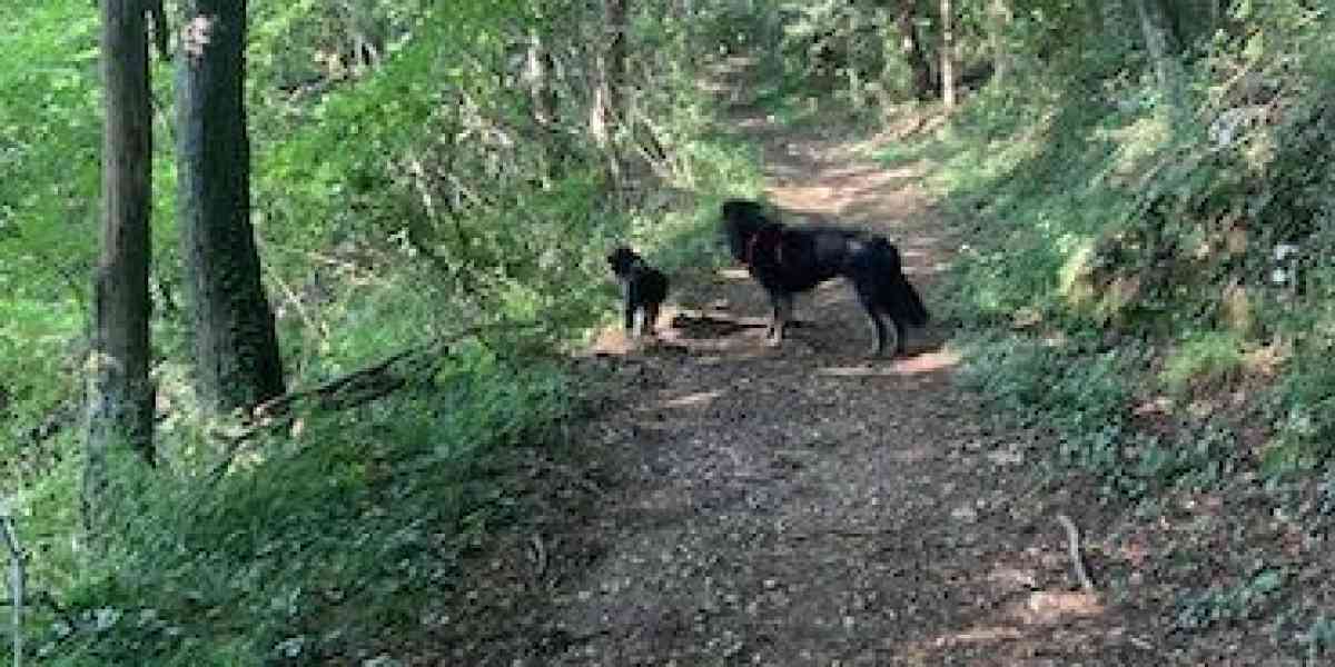 Attorno a Cerro grotte e sorgenti nel fresco dei boschi