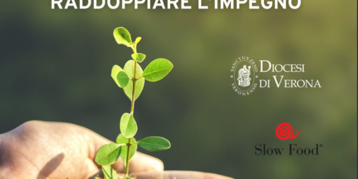 Le Comunità Laudato si’ si riuniscono a Verona per “raddoppiare l’impegno”
