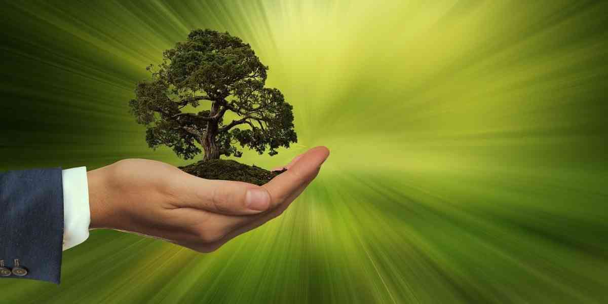 Sostenibilità: uno sportello per supportare le PMI