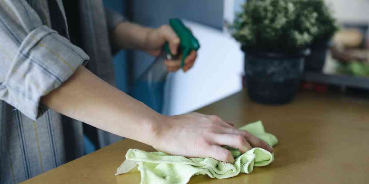 Pulizia vuol dire igiene: una storia lunga secoli