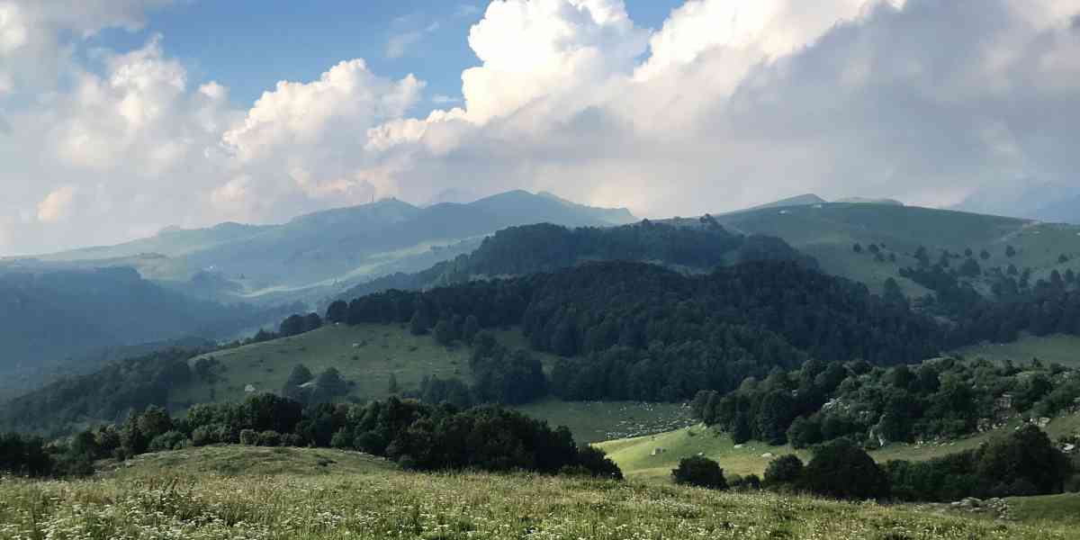 Conoscere le erbe e le piante spontanee di Baldo e Lessinia