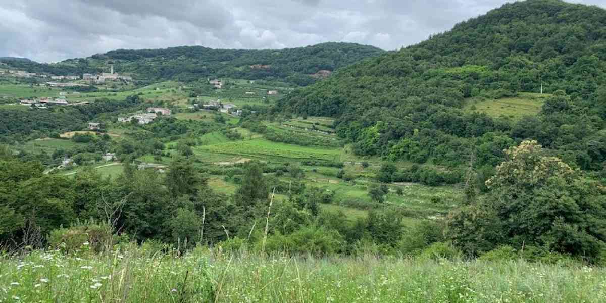 Attorno a Cerna il fitto verde incontra la fresca Valsorda