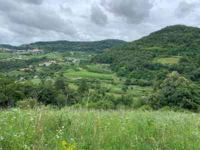 Attorno a Cerna il fitto verde incontra la fresca Valsorda