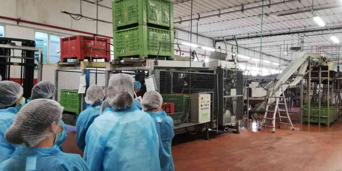 Studenti esplorano le aziende per costruire il proprio futuro lavorativo