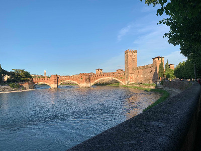 Fiumi, i “medici" dicono: l'Adige è inquinato