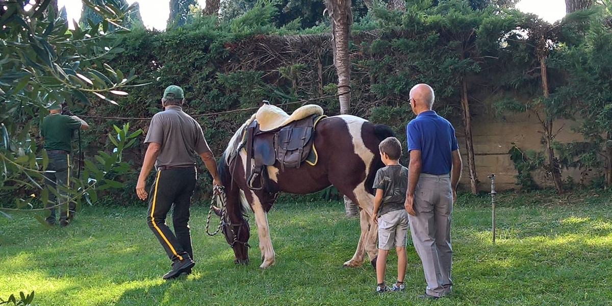 Nonni, nipoti e cavalli: ecco il progetto "Sulle ali di Pegaso"