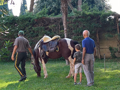 Nonni, nipoti e cavalli: ecco il progetto "Sulle ali di Pegaso"