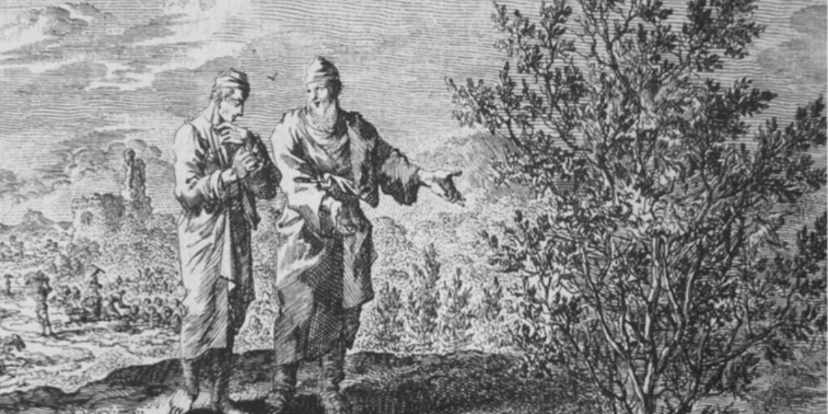 Non conta la quantità di fede ma la sua qualità: che sia viva, creativa e attiva