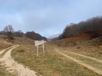 Da Prada a Malga Pralongo di fronte a lago e montagne