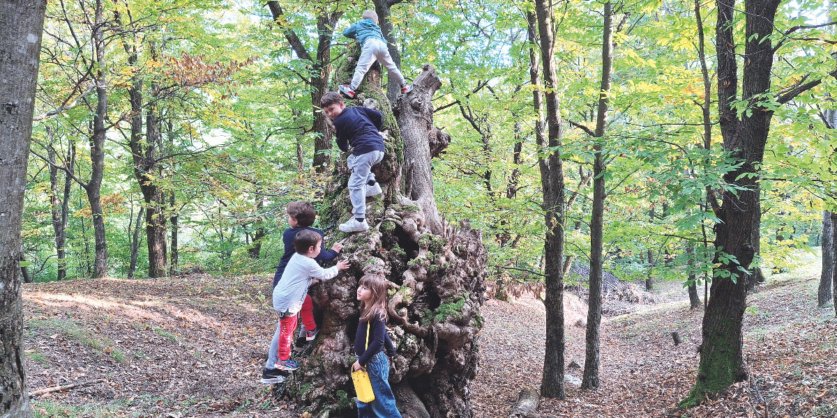 Quanto diventerà bello il Parco della Cugolara!