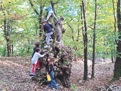 Quanto diventerà bello il Parco della Cugolara!