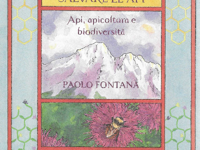 Le api, un prezioso patrimonio della biodiversità da conoscere e tutelare