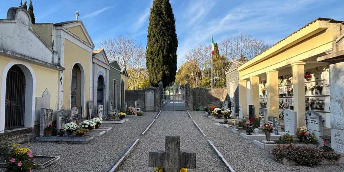Sotto un maestoso cipresso la storia di una comunità