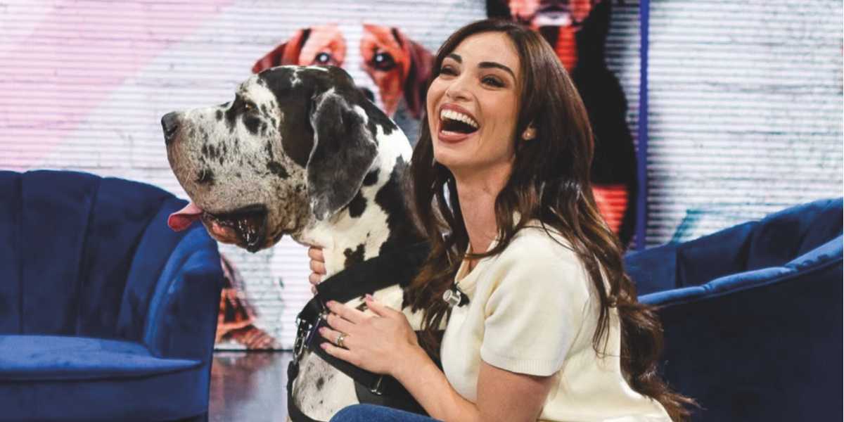 Utili consigli su come accudire al meglio i nostri amici animali