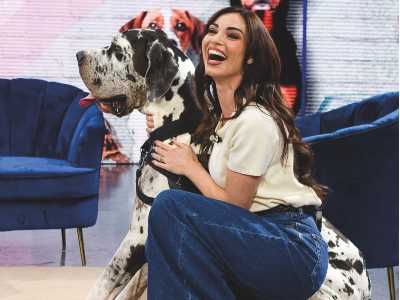 Utili consigli su come accudire al meglio i nostri amici animali