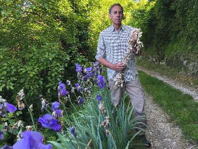 L'oro della Val Tramigna ha il profumo dell'iris