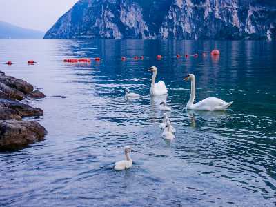 Curare il creato per curare noi