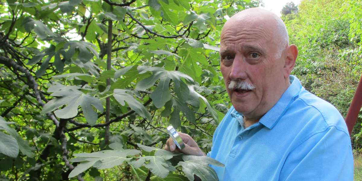 Il prof. delle erbe che ha mollato tutto e...